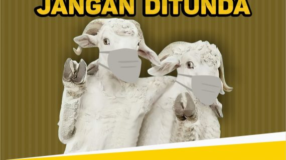 AQIQAH SUNNAH UTAMA, JANGAN DITUNDA KARENA CORONA